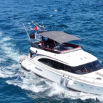 Private Swimming Cruise on the Bosphorus